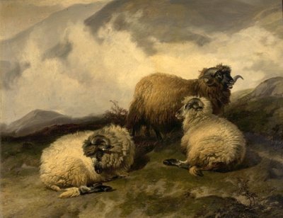 Bergschapen (ochtendmist trekt op) door Thomas Sidney Cooper